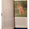 VICTOR SIMION l'art des métaux précieux en Roumanie 1990 Meridiane RARE++ VICTOR SIMION l'art des métaux précieux en Roumanie 1990 Meridiane RARE++