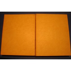 GEORGES HUISMAN histoire generale de l'art 2 Tomes 1957 QUILLET RARE++