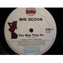 BIG SCOOB the way they go/don't really know MAXI 12" 2002 Fully Blown VG++