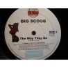 BIG SCOOB the way they go/don't really know MAXI 12" 2002 Fully Blown VG++ BIG SCOOB the way they go/don't really know MAXI 12" 2002 Fully Blown VG++