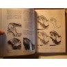 BOUTON/DENHEZ/ÉBOUÉ pratique de l'échographie en gynécologie et obstétrique 1990 Vigot EX++ BOUTON/DENHEZ/ÉBOUÉ pratique de l'échographie en gynécologie et obstétrique 1990 Vigot EX++