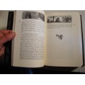 BALZAC la comédie humaine T10 la muse du département/facino cane 1990 Bonnot EX++ BALZAC la comédie humaine T10 la muse du département/facino cane 1990 Bonnot EX++