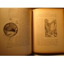 LABESSE/PIERRET fleur des Alpes - Savoie - 150 illustrations OCALL/BÉLICHON Ducrocq++