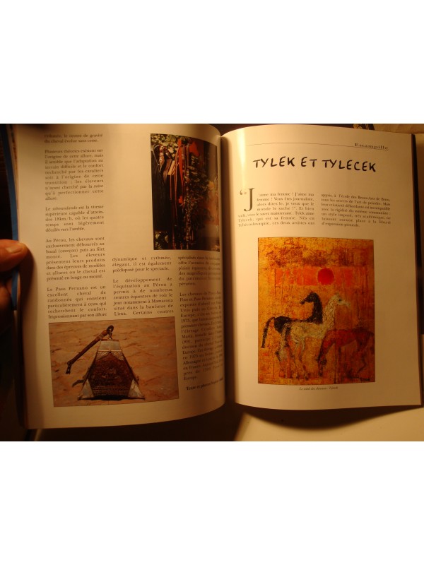 EQUUS 15 les chevaux - prix d'Amérique Marionnaud 2003 équitation EX++