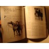 EQUUS 15 les chevaux - prix d'Amérique Marionnaud 2003 équitation EX++ EQUUS 15 les chevaux - prix d'Amérique Marionnaud 2003 équitation EX++