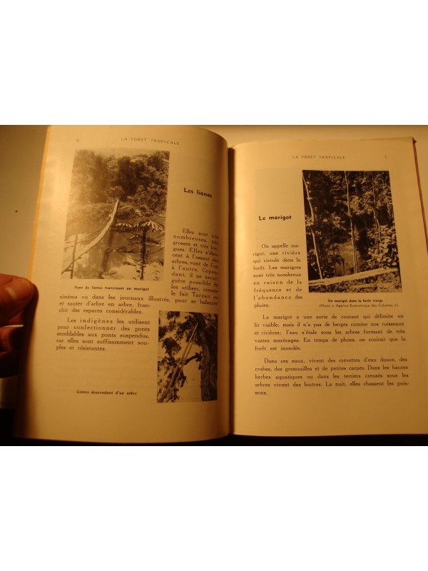 BIBLIOTHEQUE DE TRAVAIL 235 la forêt tropicale - Lagrave - mai 1953++