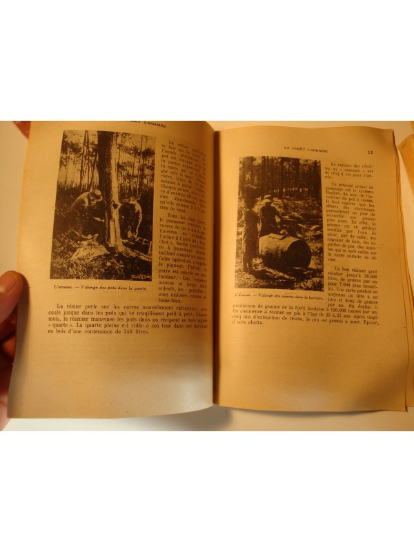 BIBLIOTHEQUE DE TRAVAIL 11 la forêt landais - octobre 1947++