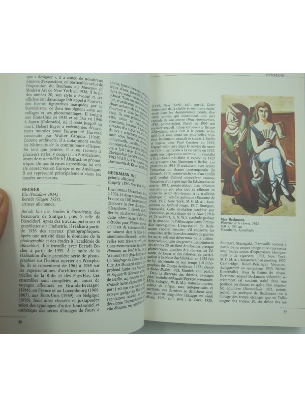 DICTIONNAIRE de la peinture allemande et d'Europe centrale 1990 Larousse