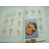 PAUL JACKSON klassieke Origami - het beste op het gebied van de papiervouwkunst PAUL JACKSON klassieke Origami - het beste op het gebied van de papiervouwkunst