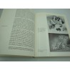 WERNER LIEBER Kristalle unter der lupe - Cristaux sous la loupe 1972 Ott Verlag Thun WERNER LIEBER Kristalle unter der lupe - Cristaux sous la loupe 1972 Ott Verlag Thun