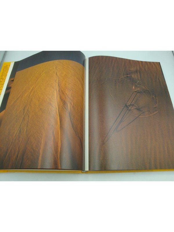 KAZUYOSHI NOMACHI Sahara 1988 André Delcourt