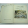 BANDI/BREUIL L'âge de pierre - quarante millénaires d'art pariétal 1966 Albin Michel BANDI/BREUIL L'âge de pierre - quarante millénaires d'art pariétal 1966 Albin Michel