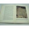 BANDI/BREUIL L'âge de pierre - quarante millénaires d'art pariétal 1966 Albin Michel BANDI/BREUIL L'âge de pierre - quarante millénaires d'art pariétal 1966 Albin Michel
