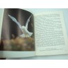 BOUTINOT oiseaux mes amis 1973 Rossel Edition - Naturalisme BOUTINOT oiseaux mes amis 1973 Rossel Edition - Naturalisme