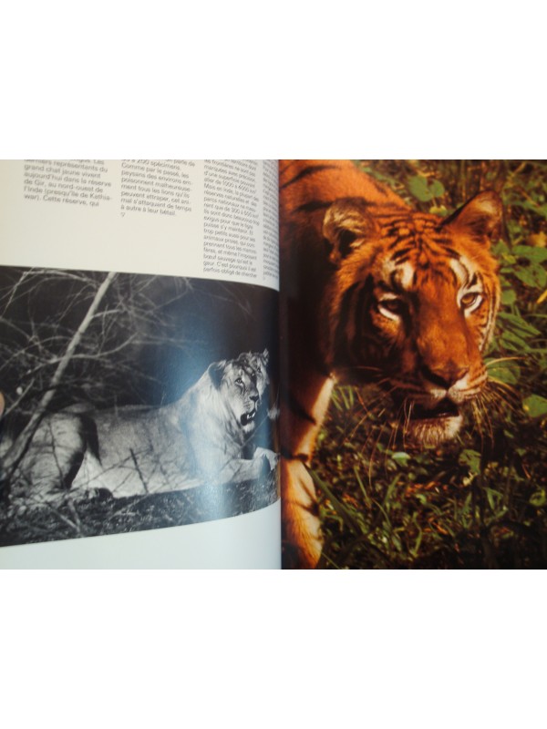 FRED KURT/WILLI DOLDER zoo Inde 1976 SILVA RARE EX++