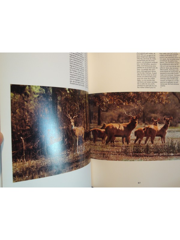 FRED KURT/WILLI DOLDER zoo Inde 1976 SILVA RARE EX++