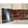 FRED KURT/WILLI DOLDER zoo Inde 1976 SILVA RARE EX++ FRED KURT/WILLI DOLDER zoo Inde 1976 SILVA RARE EX++