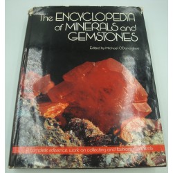 MICHAEL O'DONOGHUE...