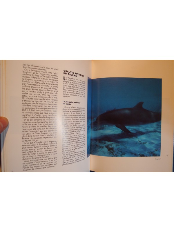 KERSHAW/CAPRA l'ecole des dauphins 1989 FRANCE LOISIRS++