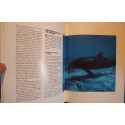 KERSHAW/CAPRA l'ecole des dauphins 1989 FRANCE LOISIRS++