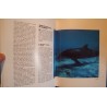 KERSHAW/CAPRA l'ecole des dauphins 1989 FRANCE LOISIRS++ KERSHAW/CAPRA l'ecole des dauphins 1989 FRANCE LOISIRS++