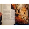 ALFRED BOGLI/BACHMANN féerie du monde des cavernes 1976 SILVA Karst EX++ ALFRED BOGLI/BACHMANN féerie du monde des cavernes 1976 SILVA Karst EX++
