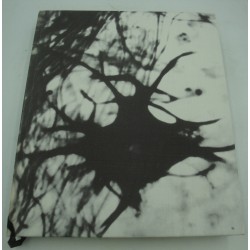 Comte de Lautréamont - les...