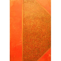 JULES ARNOUX un grand siecle ILLUSTRÉ 1799-1901 GEDALGE RARE++