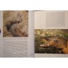 STANISLAV LUSK poissons et pecheurs 1989 GRUND nature secrete peche++ STANISLAV LUSK poissons et pecheurs 1989 GRUND nature secrete peche++