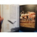 JEAN-MARC SOYEZ encyclopédie universelle - la nature 1973 CERCLE DU LIVRE EX++