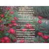 LE JARDINAGE le guide essentiel 1996 OLYMPE aménagement/ensemencement++ LE JARDINAGE le guide essentiel 1996 OLYMPE aménagement/ensemencement++