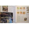 LE JARDINAGE le guide essentiel 1996 OLYMPE aménagement/ensemencement++ LE JARDINAGE le guide essentiel 1996 OLYMPE aménagement/ensemencement++
