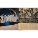 ROEDELBERGER/GROSCHOFF fauna ferner inseln - faune indonesie/australie/galapagos EX+