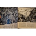 ROEDELBERGER/GROSCHOFF fauna ferner inseln - faune indonesie/australie/galapagos EX+
