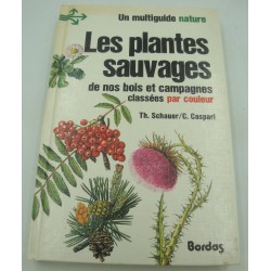 Schauer/Caspari - Les...