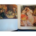 RAFFAELE DE GRADA Renoir 1990 Ed. du Montparnasse - les plus grands peintres EX++