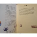 NICOLE MAYMAT le chemin des dunes - Illustré FREDERIC CLÉMENT 1995 Ipomée SIGNÉ++